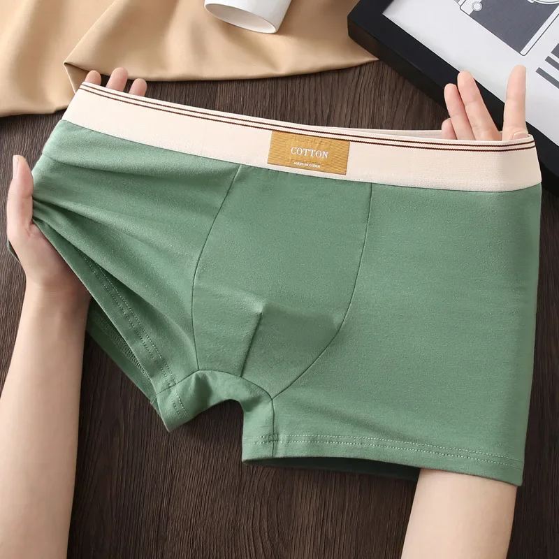 Cotton Theory Boxer