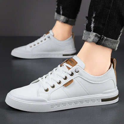 Calverto Sneakers